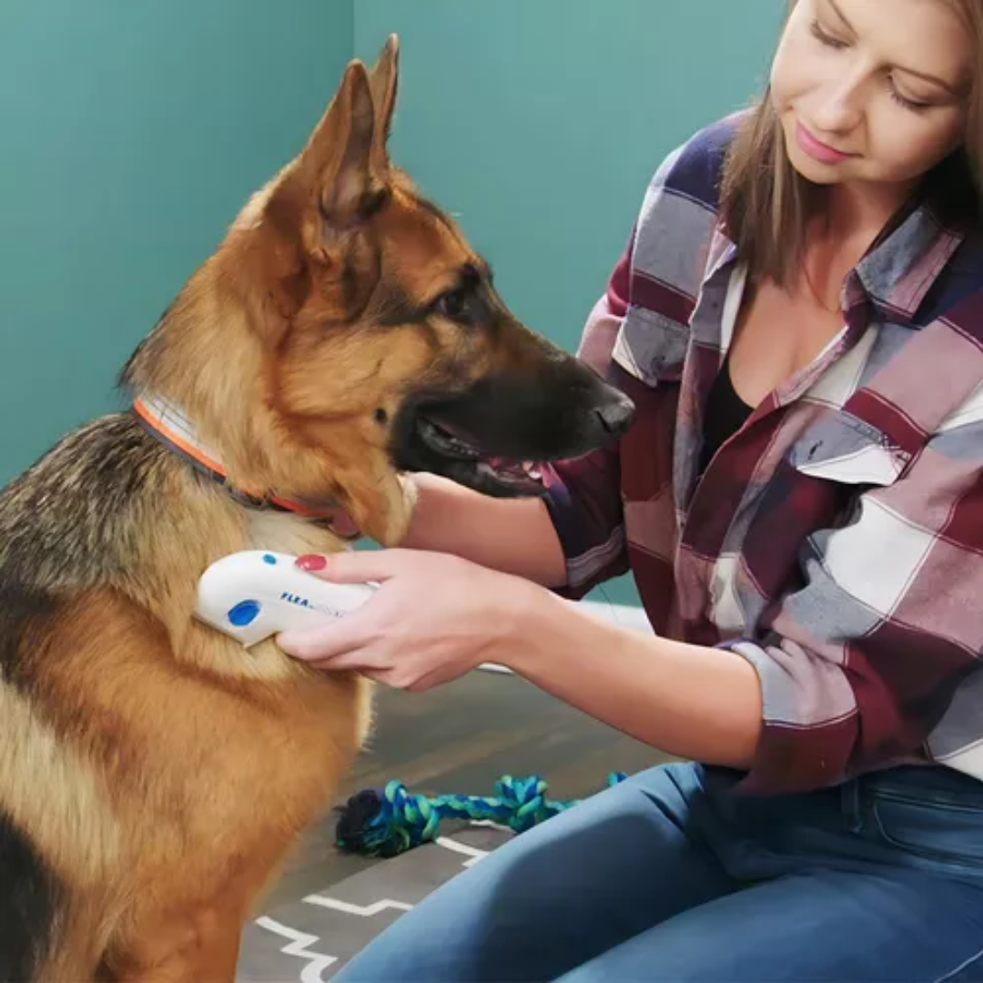 Miniatura 4 de peine eléctrico mata las pulgas